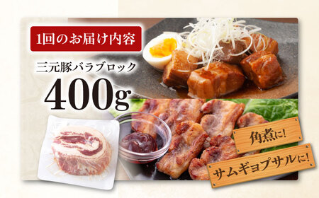 【全2回定期便】平田牧場 バラ ブロック 400g  豚肉 煮豚 煮物 [AJAP170]