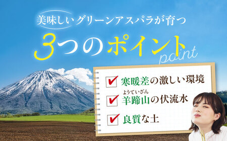 【2026年5月中旬以降順次発送】 グリーンアスパラガス 1kg アスパラ [AJAM014]