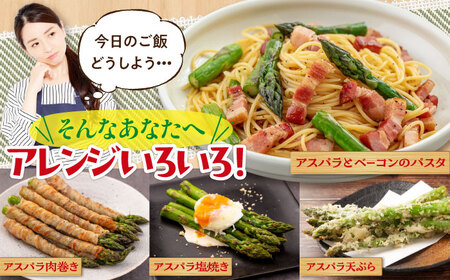 【2026年5月中旬以降順次発送】 グリーンアスパラガス 1kg アスパラ [AJAM014]