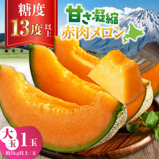 【2026年7月下旬以降順次発送】【ニセコ町産】 赤肉メロン 大玉1玉 《喜茂別町》【ニセコビュープラザ直売会協同組合】 メロン 化粧箱入り フルーツ 果物 赤肉 先行予約 常温 常温配送 北海道[AJAH028]
