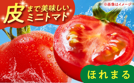 【2026年7月以降順次発送】 喜茂別産 採れたてミニトマト 『ほれまる』 （500g×4パック）《喜茂別町》【富田農園/スプレス】 トマト ミニトマト 野菜 夏野菜 先行予約 朝採れ 季節の野菜[AJAJ012]