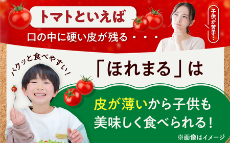 【2026年7月以降順次発送】 喜茂別産 採れたてミニトマト 『ほれまる』 （500g×4パック）《喜茂別町》【富田農園/スプレス】 トマト ミニトマト 野菜 夏野菜 先行予約 朝採れ 季節の野菜[AJAJ012]