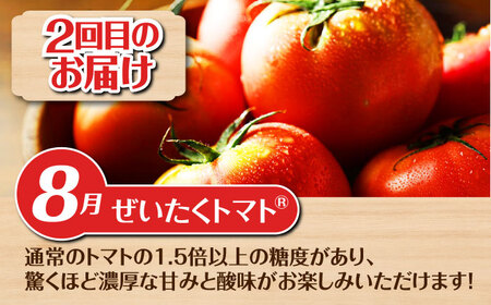 【全3回定期便】【2026年発送】 旬のお野菜定期便 アスパラ トマト コーン とうもろこし 北海道 産地直送 [AJAJ001]