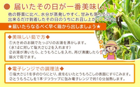 こだわり農家の喜茂別産スイートコーン 10本 とうもろこし [AJAJ003]