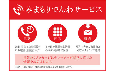 みまもりでんわサービス【携帯電話】 （3か月）《喜茂別町》【日本郵便】 北海道 [AJAN007] 13000 13000円