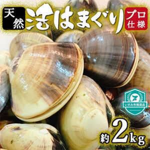 プロも認める活はまぐり 国産 天然 約2.0kg 千葉県産 九十九里産【配送