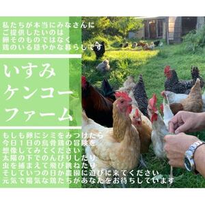 庭先養鶏いすみケンコーファームが烏骨鶏の有精卵10個を心を込めて大切なあなたへお届けいたします【配送不可地域：離島】【1455517】 |  千葉県いすみ市 | ふるさと納税サイト「ふるなび」