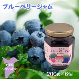 千葉県いすみ市で丁寧に育てた手作り無添加　ブルーベリージャム(200g×6個)_惣菜・加工品 ジャム 缶詰・瓶詰 _【1411486】