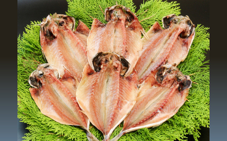 できたて干物!!あじ6枚_魚介・海産物  干物 _【配送不可地域：離島】【1539825】
