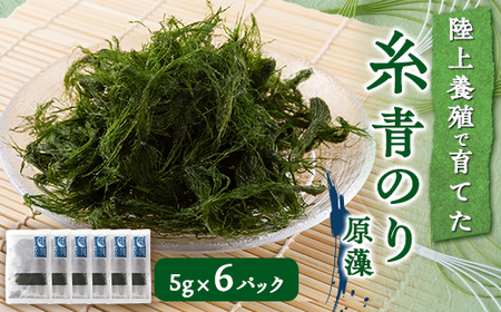 陸上養殖あおのり(原藻)　5g×6パック_魚介・海産物 海苔 海藻 のり ノリ_【1542686】