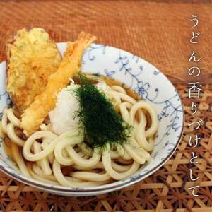 陸上養殖あおのり(原藻)　5g×6パック_魚介・海産物 海苔 海藻 のり ノリ_【1542686】