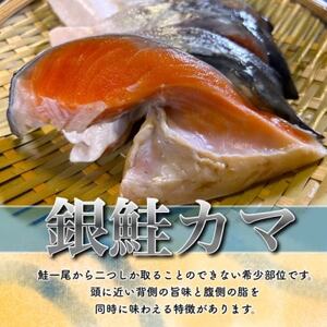 【訳あり】銀鮭カマ(小) 約4kg_鮭 サケ さけ 訳あり おすすめ_【配送不可地域：離島】【1588573】