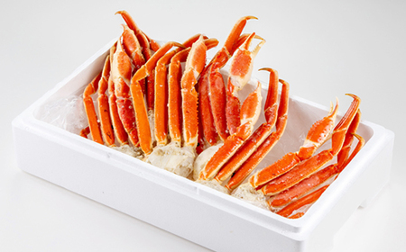 訳アリボイル本ズワイガニ肩 1.3kg【配送不可地域:離島】【1607630】