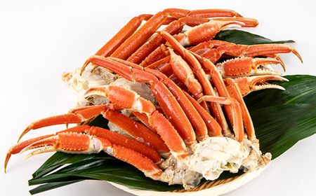 訳アリボイル本ズワイガニ肩 1.3kg【配送不可地域:離島】【1607630】