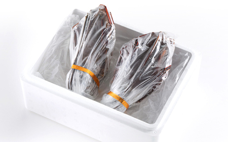 活〆冷凍伊勢海老 1.2kg_伊勢海老 活〆 冷凍 高級_【配送不可地域：離島】【1607919】