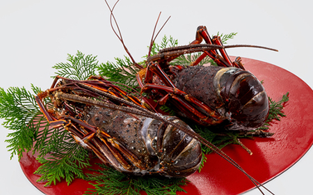 活〆冷凍伊勢海老 1.2kg_伊勢海老 活〆 冷凍 高級_【配送不可地域：離島】【1607919】