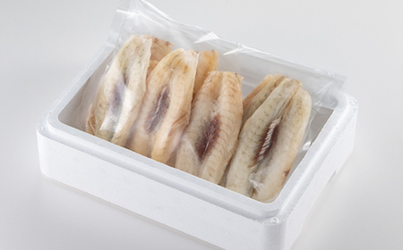 【訳アリ】真フグ一夜干し約500g【配送不可地域：離島】【1608831】