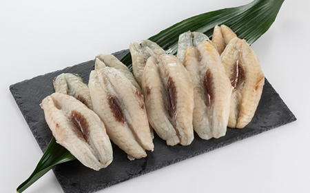 【訳アリ】真フグ一夜干し約500g【配送不可地域：離島】【1608831】