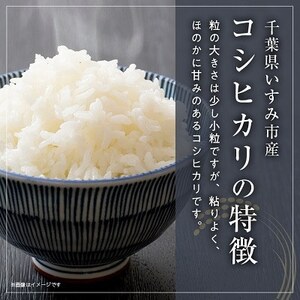 【発送月固定定期便】千葉県いすみ市産コシヒカリ 10kg(5kg×2袋)全6回【4074484】