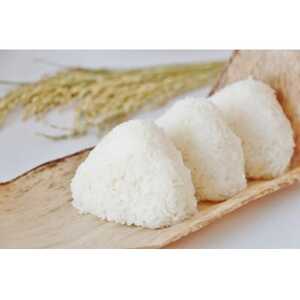 【毎月定期便】千葉県いすみ市産コシヒカリ10kg(5kg×2袋)全3回【4083579】