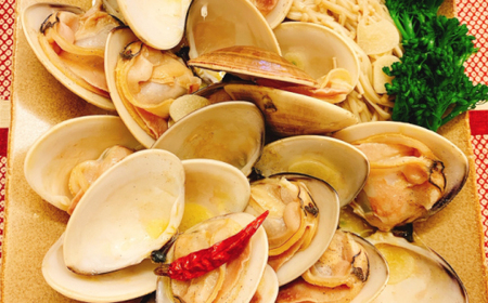 プロも認める活はまぐり 国産 天然 約5.4kg 千葉県 九十九里産_蛤 ハマグリ 魚貝 魚介 海鮮 貝 出汁 だし プロ仕様 人気 送料無料_【配送不可地域：離島・沖縄県】【1226356】