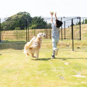 ISUMI Glamping Resort ＆ Spa SOLASの宿泊補助券 15,000円分_旅行券・チケット 宿泊券  _【1389179】