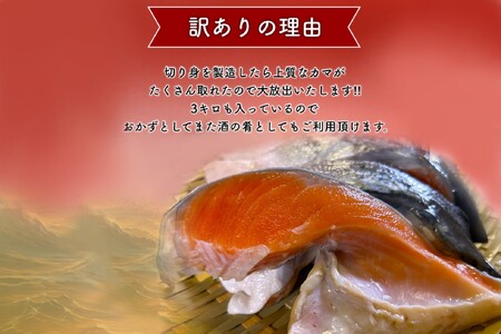 【訳あり】人気海鮮お礼品 銀鮭カマ 約3kg【配送不可地域：離島】【1389618】