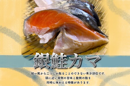 【訳あり】人気海鮮お礼品 銀鮭カマ 約3kg【配送不可地域：離島】【1389618】