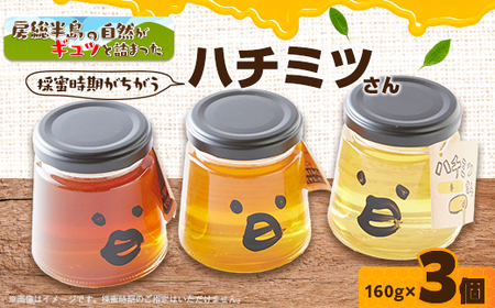 いすみ市の『ハチミツさん』160g×3個_調味料 はちみつ  ハチミツ 蜂蜜_【1391526】