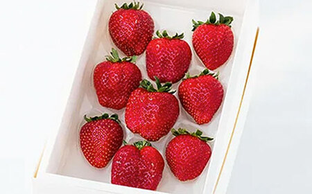 先行予約【2025年12月中旬より順次発送】大網白里市発祥のイチゴ「真紅の美鈴」９粒 食べきりサイズ いちご イチゴ 苺 希少 甘い 深紅 真紅の美鈴 ギフト 黒いちご 黒イチゴ 千葉県 大網白里市 思いやり型返礼品 M006