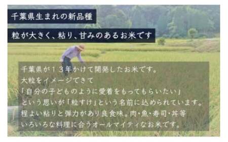 【新米】 令和6年産 千葉県産「粒すけ」15kg（5kg×3袋） お米 15kg 千葉県産 大網白里市 粒すけ 米 精米 こめ 送料無料 A042 米 米 米 米 米 米 米 米 米 米 米 米 米 米 米 米 米 米 米 米 米 米 米 米 米 米 米 米 米 米 米 米 米 米 米 米 米 米 米 米 米 米 米 米 米 米 米 米 米 米 米 米 米 米 米 米 米 米 米 米 米 米 米 米 米 米 米 米 米 米 米 米 米 米 米 米 米 米 米 米 米 米 米 米 米 米 米 米 米 米 米 米 米 米 米 米 米 米 米 米 米 米 米 米 米 米 米 米 米 米 米 米 米 米 米 米 米 米 米 米 米 米 米 米 米 米 米 米 米 米 米 米 米 米 米 米 米 米 米 米 米 米 米 米 米 米 米 米 米 米 米 米 米 米 米 米 米 米 米 米 米 米 米 米 米 米 米 米 米 米 米 米 米 米 米 米 米 米 米 米 米 米 米 米 米 米 米 米 米 米 米 米 米 米 米 米 米 米 米 米 米 米 米 米 米 米 米 米 米 米 米 米 米 米 米 粒すけ 粒すけ 粒すけ 粒すけ 粒すけ 粒すけ 粒すけ 粒すけ 粒すけ 粒すけ 粒すけ 粒すけ 粒すけ 粒すけ 粒すけ 粒すけ 粒すけ 粒すけ 粒すけ 粒すけ 粒すけ 粒すけ 粒すけ 粒すけ 粒すけ 粒すけ 粒すけ 粒すけ 粒すけ 粒すけ 粒すけ 粒すけ 粒すけ 粒すけ 粒すけ 粒すけ 粒すけ 粒すけ 粒すけ 粒すけ 粒すけ 粒すけ 粒すけ 粒すけ 粒すけ 粒すけ 粒すけ 粒すけ 粒すけ 粒すけ 粒すけ 粒すけ 粒すけ 粒すけ 粒すけ 粒すけ 粒すけ 粒すけ 粒すけ 粒すけ 粒すけ 粒すけ 粒すけ 粒すけ 粒すけ 粒すけ 粒すけ 粒すけ 粒すけ 粒すけ 粒すけ 粒すけ 粒すけ 粒すけ 粒すけ 粒すけ 粒すけ 粒すけ 粒すけ 粒すけ 粒すけ 粒すけ 粒すけ 粒すけ 粒すけ 粒すけ 粒すけ 粒すけ 粒すけ 粒すけ 粒すけ 粒すけ 粒すけ 粒すけ 粒すけ 粒すけ 粒すけ 粒すけ 粒すけ 粒すけ 粒すけ 粒すけ 粒すけ 粒すけ 粒すけ 粒すけ 粒すけ 粒すけ 粒すけ 粒すけ 粒すけ 粒すけ 粒すけ 粒すけ 粒すけ 粒すけ 粒すけ 粒すけ 粒すけ 粒すけ 粒すけ