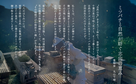 千葉県産「厳選純粋はちみつ」100g×3個【ランダムにセレクト】 X010