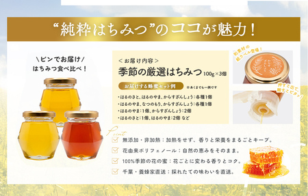 千葉県産「厳選純粋はちみつ」100g×3個【ランダムにセレクト】 X010