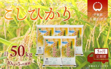 ＜5か月定期便＞ 千葉県産「コシヒカリ」精米 10kg×5か月連続 計50kg A070 24,850円