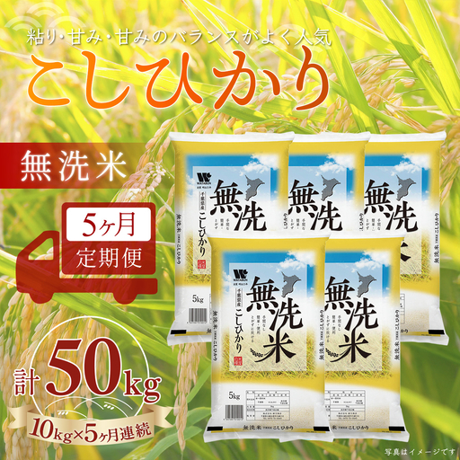 ＜5か月定期便＞ 千葉県産「コシヒカリ」無洗米 10kg×5か月連続 計50kg A079