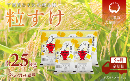＜5か月定期便＞ 千葉県産「粒すけ」精米 5kg×5か月連続 計25kg A084 24,850円