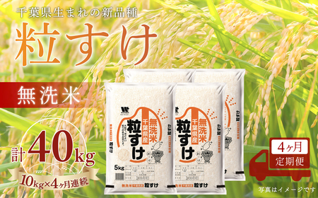 ＜4か月定期便＞ 千葉県産「粒すけ」無洗米 10kg×4か月連続 計40kg A098