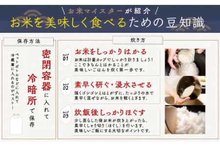 【新米先行受付】令和6年産 千葉県産「ふさこがね」20kg（5kg×4袋） A005