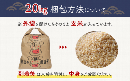 新米】令和5年産 千葉県産エコ米「コシヒカリ」玄米20kg（20kg×1袋