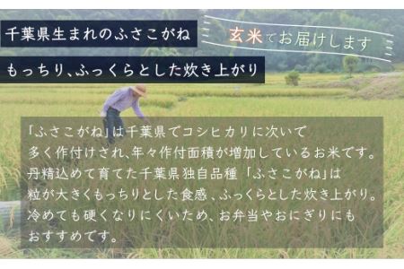 【新米】令和6年産 千葉県産「ふさこがね」玄米10kg（10kg×1袋） A012