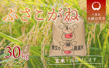 令和5年産 千葉県産「ふさこがね」玄米30kg（30kg×1袋） A013