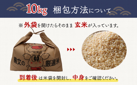 令和5年産 千葉県産エコ米「コシヒカリ」玄米10kg（10kg×1袋） A014