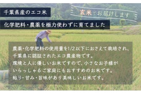 ＜6ヶ月定期便＞千葉県産エコ米「コシヒカリ」玄米5kg×6ヶ月連続 計30kg A019