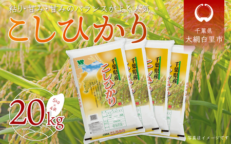 新米】令和5年産 千葉県産「コシヒカリ」20㎏（5㎏×4） | 千葉県大網白