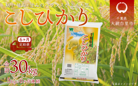 ＜6ヶ月定期便＞千葉県産「コシヒカリ」5kg×6ヶ月連続 計30kg A026