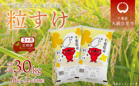 <3ヶ月定期便><新米>千葉県産「粒すけ」10kg×3ヶ月連続 計30kg