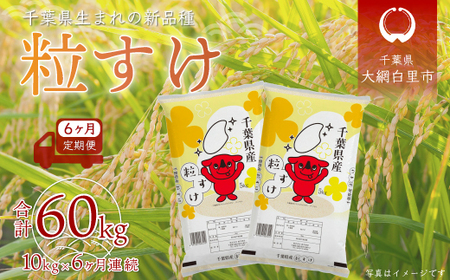 <6ヶ月定期便><新米>千葉県産「粒すけ」10kg×6ヶ月連続 計30kg