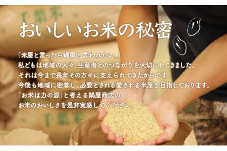 令和5年産 2年連続特A評価!千葉県産コシヒカリ10kg無洗米（5kg×2袋） E004