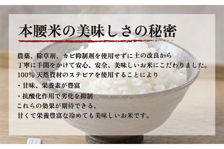 即日出荷 可能 【ふるさと納税】本腰米10kg 玄米 千葉県産コシヒカリ