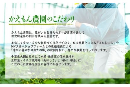千葉県 大網白里市 五百万石 自然派日本酒「幸SACHI」300ml２本セット